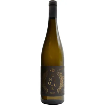 Víno Blatel RŠ&RB Unique 2021 Pozdní sběr 0,75l