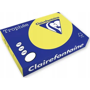 Kancelářský papír Kancelářský papír Clairefontaine formát A4 160g 250 listů