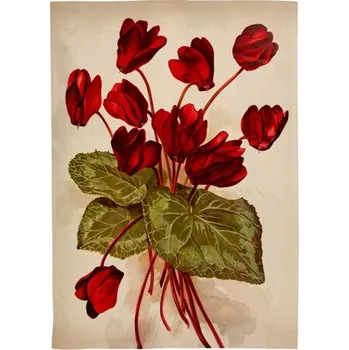 Utěrka Kuchyňská utěrka Orange Autumn Plants Cyclamen