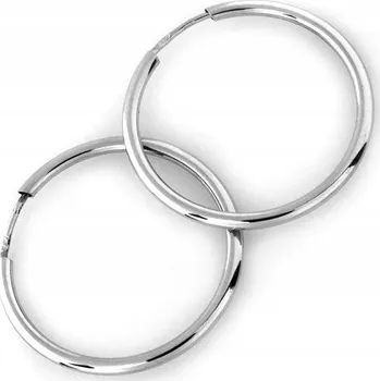 Náušnice Stříbrné Náušnice Kruhy 25mm Kloubové Zapínání Ag 925 Váha 1.15g Pro Ženy Dárek