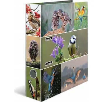 Školní batoh Psací souprava s pouzdro Herma