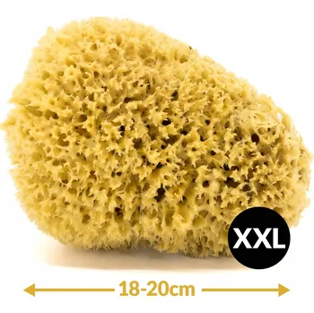 Do koupele Houbička - přírodní mořská - velikost XXL 18-20 cm