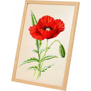 Obraz Rámeček na jednu fotografii Home Accents 29,7 x 21 cm