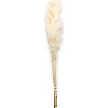 umělá květina Tráva pampasová tráva - 120 cm - kytice 5ks
