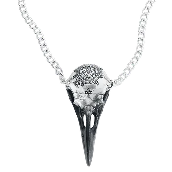 Náhrdelník Náhrdelník Gotika z Alchemy Gothic - Volvan Raven Skull - stríbrná