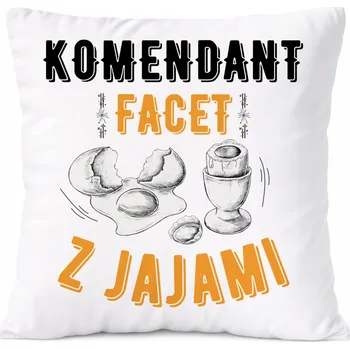 Obraz Dárek Polštář pro instalatéry s potiskem , bílý PoliDraw