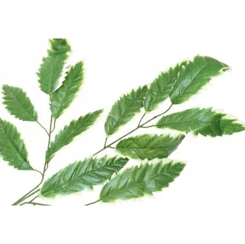 umělá květina LISTY do aranžmá, kytice, věnce větvička zelená, doplněk na stonku
