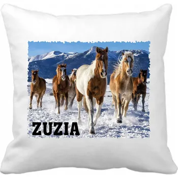 Polštář Polštář s motivem koní - filmový, herní, knižní, komiksový, hudební, 40 x 40 cm