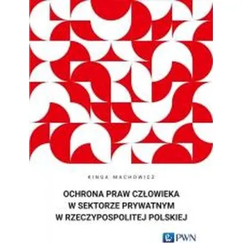Ochrona praw człowieka w sektorze prywatnym... - Kinga Machowicz