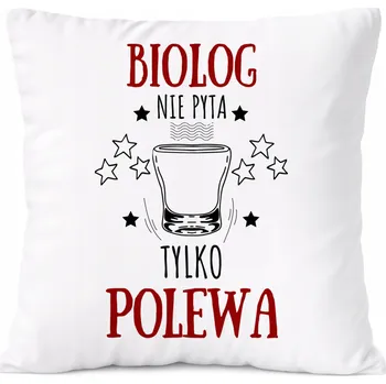 Obraz Dárek Polštář Agent s potiskem v bílém PoliDraw