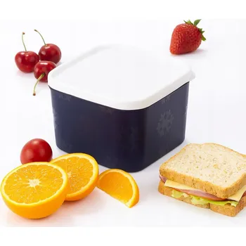 Dóza na potraviny OBDÉLNÍKOVÁ DÓZA NO FROST 40229 GRANÁTOVÁ 1600 ml