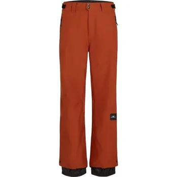 Snowboardové kalhoty Pánské lyžařské/snowboardové kalhoty O'Neill FWC'PLAY SNOW L Hnědá