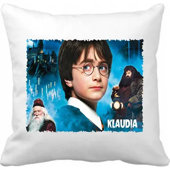 Polštář Polštář filmový, herní, knižní, komiksový, hudební Harry Potter 40 x 40 cm
