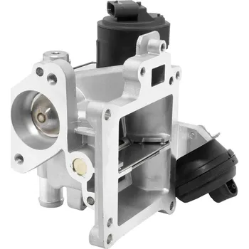 Ventil palivového systému AGR-Ventil BorgWarner 710488D0