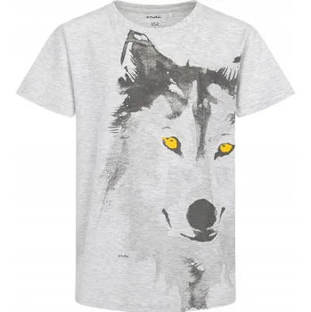 Chlapecké tričko šedé Tričko pro kluky Bavlna VLK 110 Endo