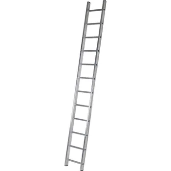 Žebřík Žebřík Al jednodílný Profi 1x12 PRAKTIKMAXMIX Sklad14 g200033 (PRAKTIKMAXMIX Sklad14 )