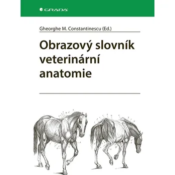 Obrazový slovník veterinární anatomie - Constantinescu M. Gheorghe