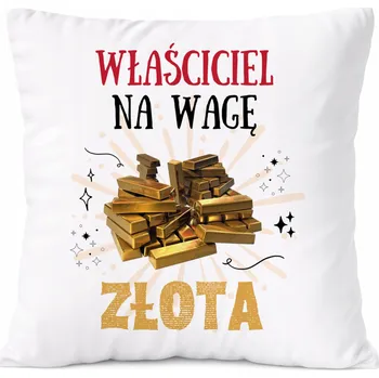 Obraz Dárek Polštář pro architekta s potiskem , bílý PoliDraw