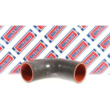 Turbodmychadlo Hadice plnícího vzduchu BORG & BECK BTH1594