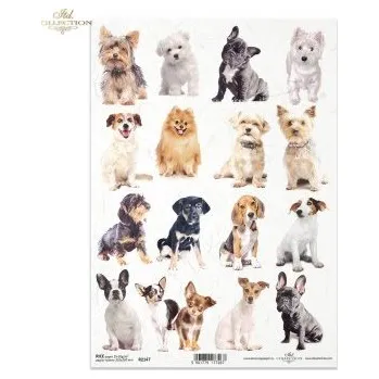 Umělecký papír Rýžový papír A4- R2147