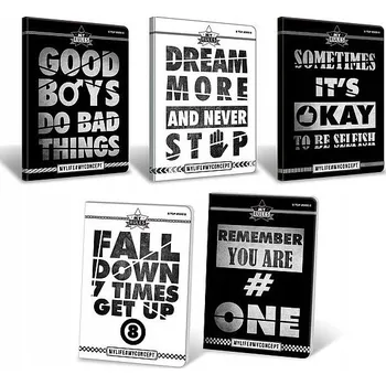 Šanon A4 TOP-2000 modrý