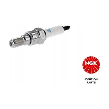 Zapalovací a žhavicí svíčka Zapalovací svíčka NGK 3176