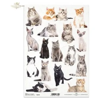 Umělecký papír Rýžový papír A4- R2146