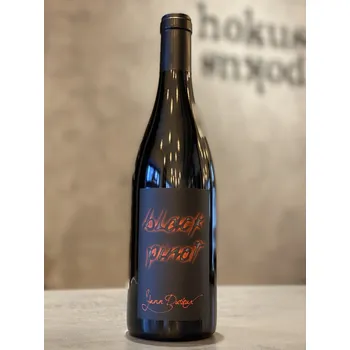 Víno Yann Durieux - Black Pinot 2022 0,75 l - naturální víno
