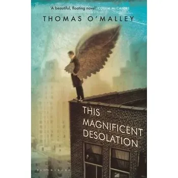 Kniha This Magnificent Desolation