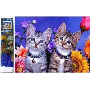 Diamantové malování Norimpex Dvě koťata 30 × 40 cm
