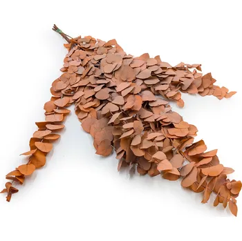 mech-mech.cz Stabilizovaný eukalyptus – Stuartiana – Oranžový