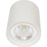 Ecolite MZ-DL-30W/BI Svítidlo přisazené EFECT, COB, 30W, 4100K, bílé