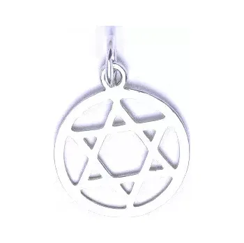 Přívěsek Zlatý přívěsek, bílé zlato, Davidova hvězda v kruhu - P 1314 (Zlatá Davidova hvězda)