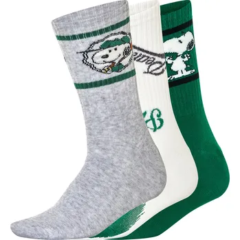 Dámské ponožky Dámské / Pánské ponožky, 3 páry (šedá/bílá/zelená, 43-46)