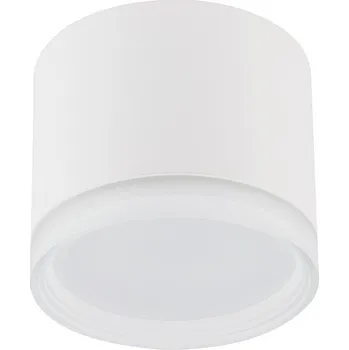 Nowodvorski Lighting Stropní přisazené svítidlo 10476 SILBA WH CG