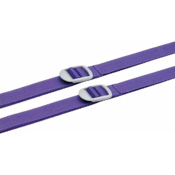 Příslušenství k zavazadlu Go Travel sada popruhů na zavazadla 2,5 cm violet