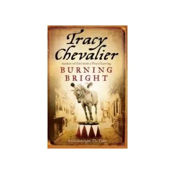 Cizojazyčná kniha Burning Bright