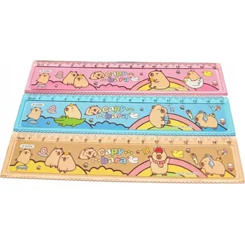 pravítka Dětské školní pravítko do školy KAPYBARA 15 cm pro děti pravítka