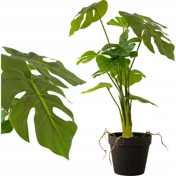 umělá květina UMĚLÁ ROSTLINA V KVĚTINÁČI MONSTERA jako živá dekorace květina dárek 50 cm