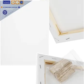 Textilie Malířské Malířské Plátno 23x30 cm STARPAK