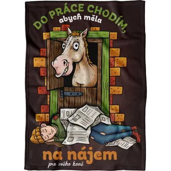 deka Deka 200 x 140 cm - Na nájem pro koně