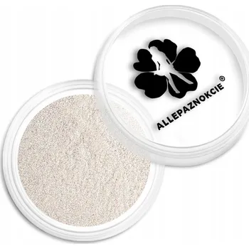 PRÁŠEK NA NEHTY CHAMELEON KAMELEON HOLO 03