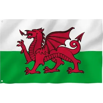 Vlajka Vlajka WARAGOD Wales 150x90 cm