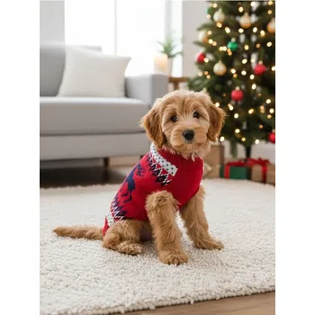 Pánská móda Sinsay - Vánoční svetr pro zvířata - vícebarevná - 322HK-MLC - 322HK-MLC-ONE