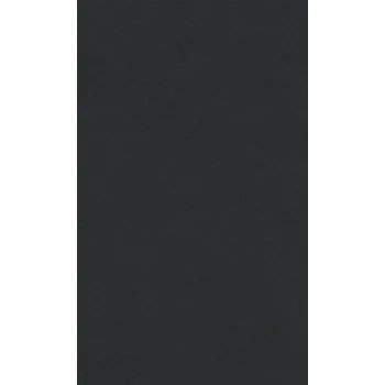 Barevný papír Barevný papír Lana 70x100cm – 29 black (Barevný papír Lana 70x100cm – 29 black)