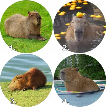 Obraz OPLATEK NA DORT KAPYBARA VLNĚNÝ 26 CM + DÁREK