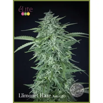 Semeno Élite Seeds - Llimonet Haze Auto CBD 7 ks