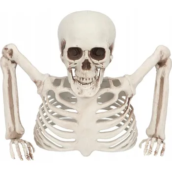 Obraz Dekorace Zakopany Kostlivec Halloween