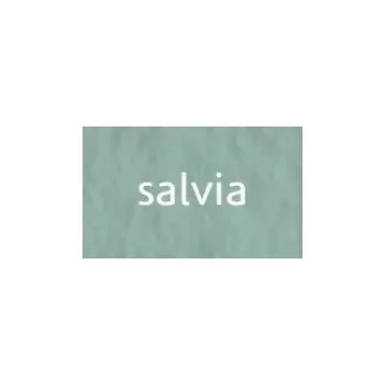 Umělecký papír Tiziano umělecký papír 50x65cm 160g – salvia (Tiziano umělecký papír 50x65cm 160g – salvia)