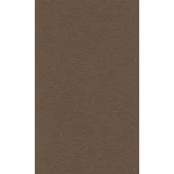 Papír Barevný papír Lana 70x100cm – 23 dark brown (Barevný papír Lana 70x100cm – 23 dark brown)